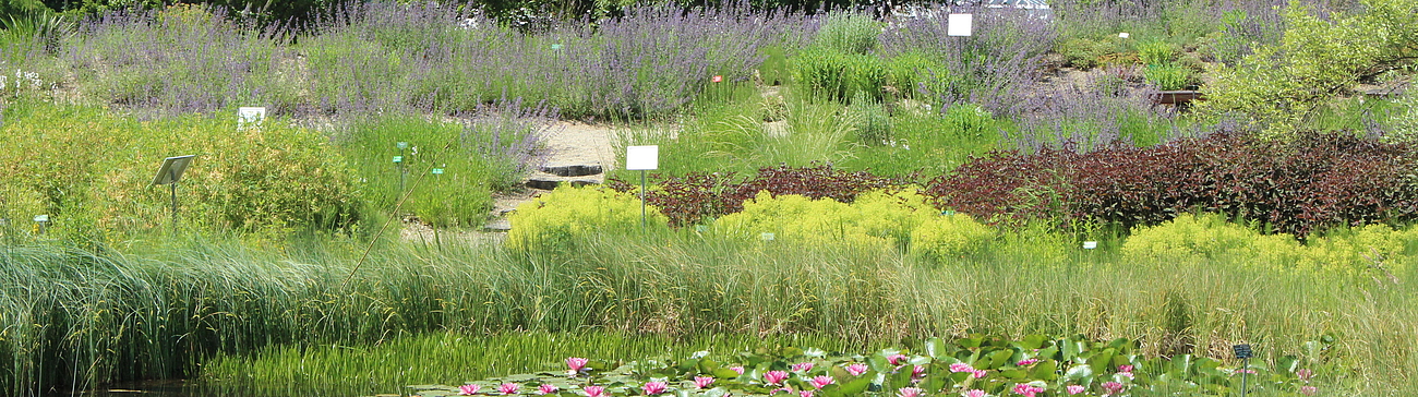 Ausschnitt Lehr- und Versuchsgarten Braike