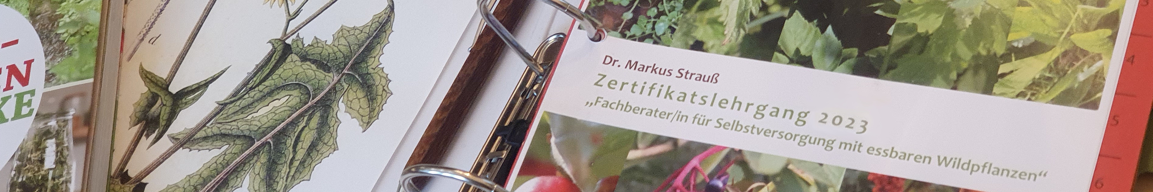 Das Bild zeigt eine Nahaufnahme eines geöffneten Ordners mit Seiten, die botanische Illustrationen und Text enthalten. Auf einer Seite ist eine detaillierte Zeichnung einer Pflanze mit beschrifteten Teilen zu sehen. Die gegenüberliegende Seite enthält folgenden Text: „Dr. Markus Strauß Zertifikatslehrgang Fachberater/in für Selbstversorgung mit essbaren Wildpflanzen‘“ Das Bild vermittelt den Eindruck eines professionellen Lehrmaterials oder Schulungsdokuments im Bereich Wildpflanzen und Selbstversorgung. 
