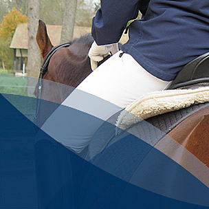 Kachelbild Studiengang Pferdewirtschaft (B.Sc.)