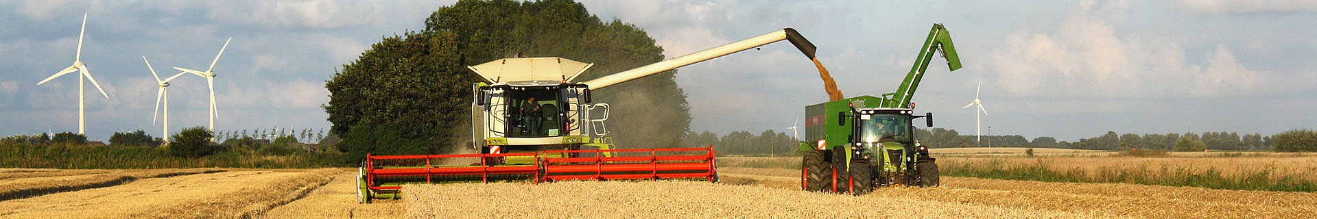 Das Bild zeigt eine landwirtschaftliche Szene bei sonnigem Wetter: Ein Mähdrescher ist gerade dabei, Getreide zu ernten und überlädt es direkt in den Anhänger eines Traktors, der neben ihm fährt. Im Hintergrund erstrecken sich mehrere Windkraftanlagen über das Feld, was auf eine Kombination aus moderner Landwirtschaft und erneuerbarer Energie hinweist. Der Himmel ist teilweise bewölkt, und am Horizont sind Bäume zu sehen.