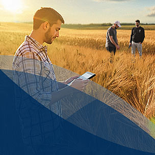 Kachelbild Studiengang Nachhaltige Agrar- und Ernährungswirtschaft (M.Sc.)