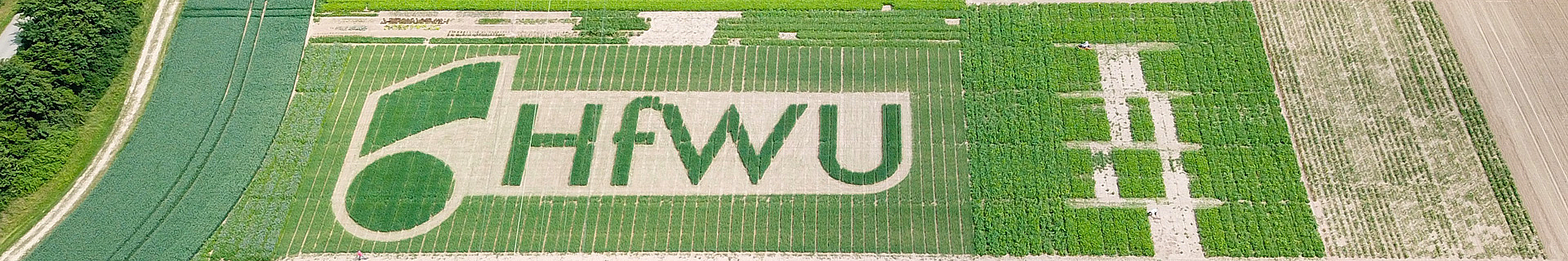 Sliderbild "Nachhaltigkeit". Das Bild zeigt das HfWU Logo als gemähtes Werk in einem Feld