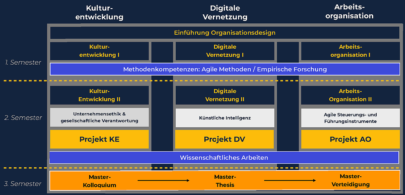 Studienaufbau Master Organisationsdesign