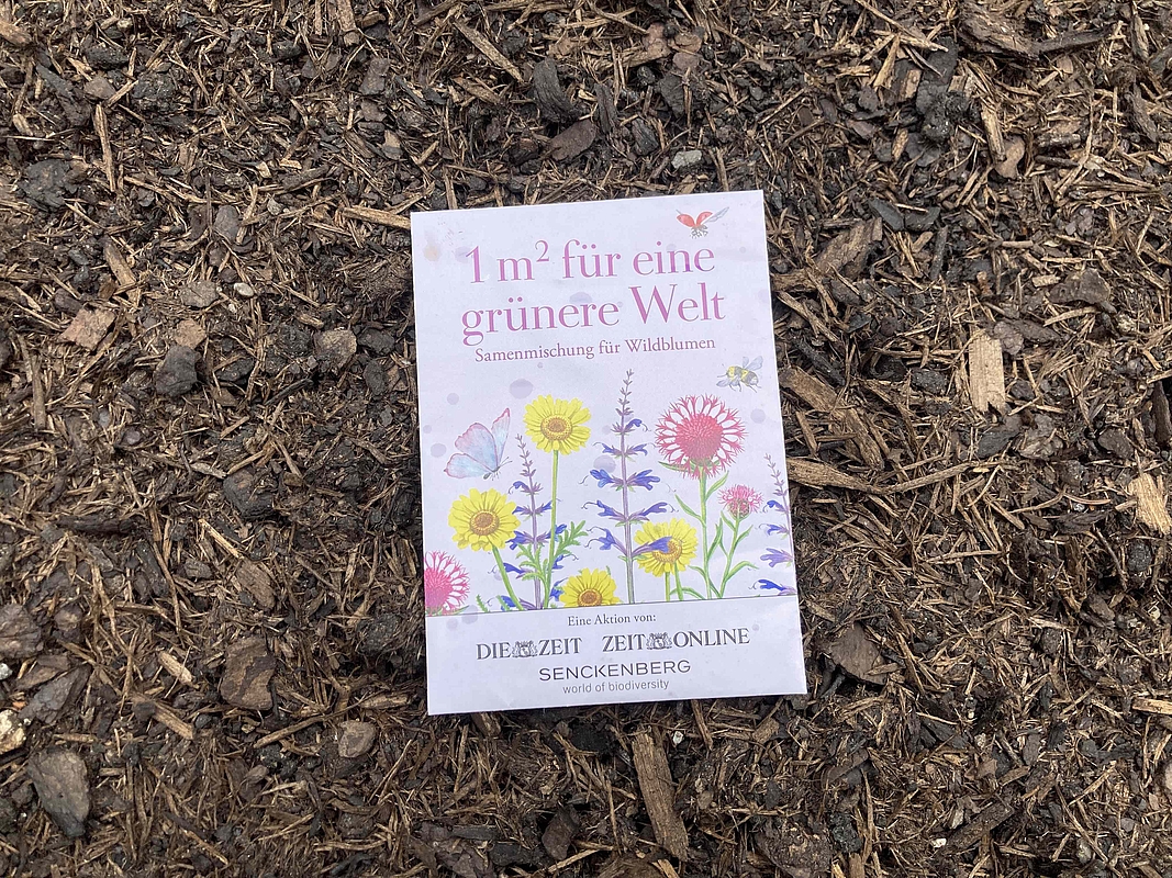 Hochbeete für die Hochschule; Bildrechte: Karl Michael Drohsel und Anna Szilágyi-Nagy