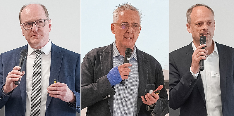 Drei Portraitfotos in Reihe