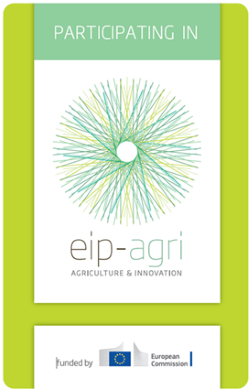 Logo eip-agri