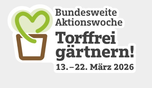 gemalter Blumentopf mit Herz