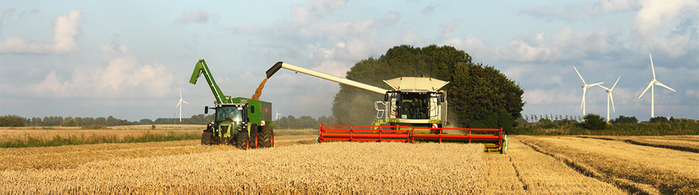 Mähdrescher bei der Ernte